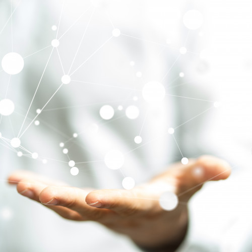 AdobeStock 145692450