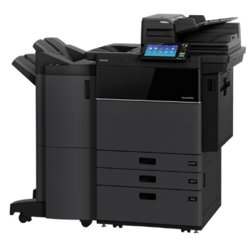 Banner News Launch Shasta Shastina